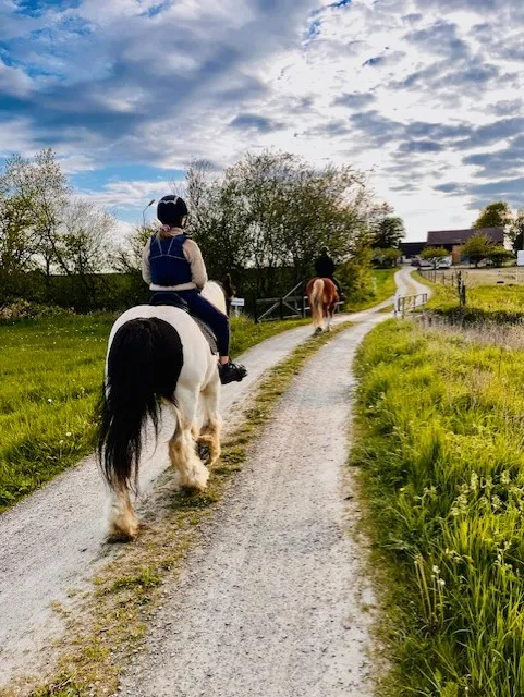 Ridning mot gården